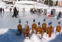 Schottische Schneehühner in Samedan