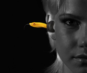 Viper Head yellow Viper Head yellow