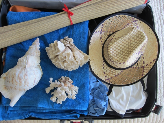 D.A.S. Rechtsschutzversicherung - Gefährliche Urlaubsmitbringsel D.A.S. Rechtsschutzversicherung - Gefährliche Urlaubsmitbringsel