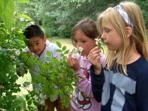 Kinder im Schulgarten
