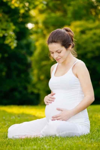 Foto: Fotolia (No. 4732)