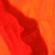 Merle Busch: Ausschnitt Mohn