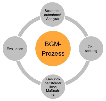 UBGM veröffentlicht Praxisleitfaden zum Betrieblichen Gesundheitsmanagement UBGM veröffentlicht Praxisleitfaden zum Betrieblichen Gesundheitsmanagement