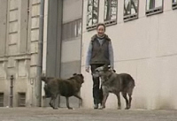 Helga Volkmer möchte 89 spanische Hunde retten