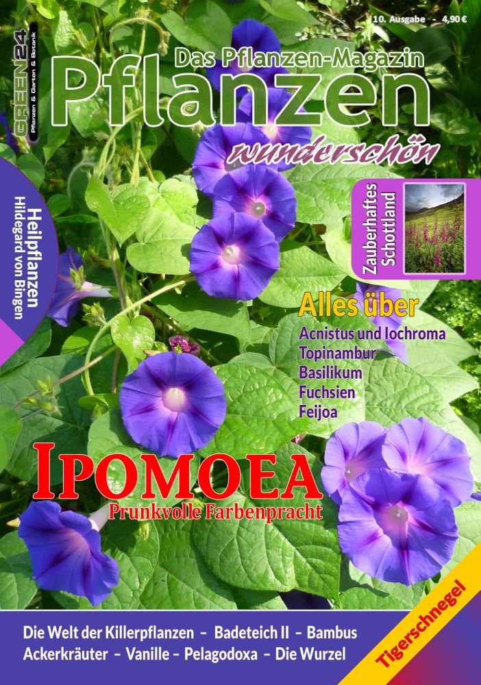 Ausgabe 10 - Pflanzen Magazin - www.green-24.de Ausgabe 10 - Pflanzen Magazin - www.green-24.de