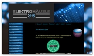 BGV A3 Prüfung