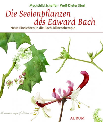 StorlScheffer_Cover StorlScheffer_Cover