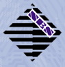NES EC S.L. - Logo