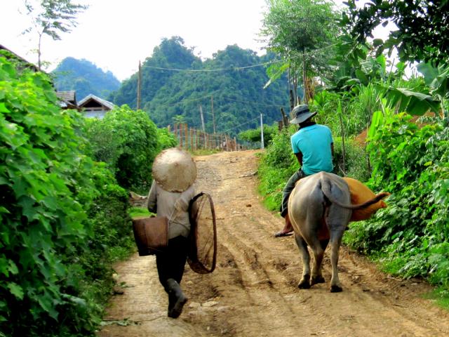 Feldarbeiter auf dem Heimweg, Moc Chau Feldarbeiter auf dem Heimweg, Moc Chau