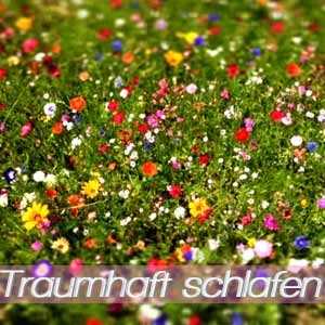 Die richtigen Schlafsysteme für einen traumhaften Schlaf
