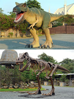 Der T-Rex entweder in furchterregender Angriffspose oder als fossiles Skelett! Der T-Rex entweder in furchterregender Angriffspose oder als fossiles Skelett!