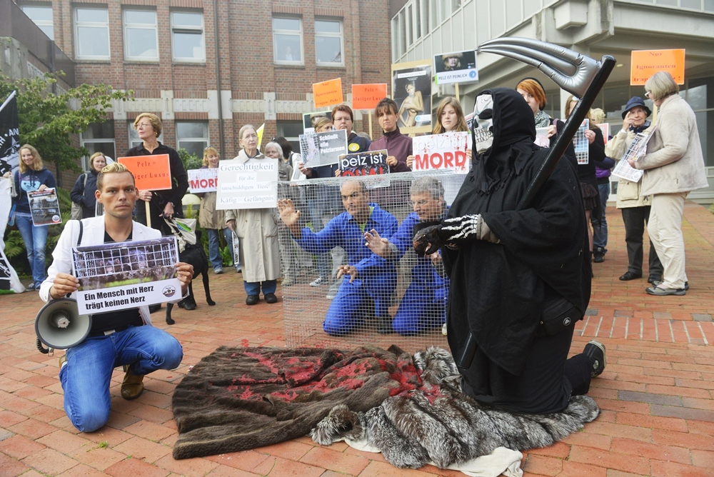 Arbeitskreis humaner Tierschutz demonstriert vor Verwaltungsgericht in Schleswig Arbeitskreis humaner Tierschutz demonstriert vor Verwaltungsgericht in Schleswig