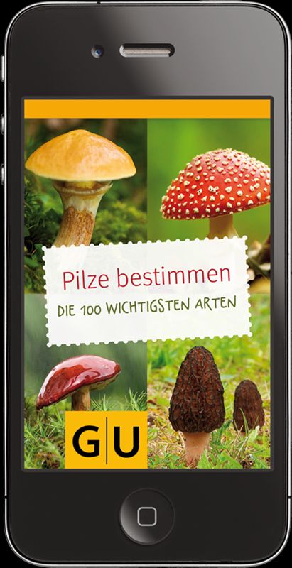 Pilze-App Pilze-App