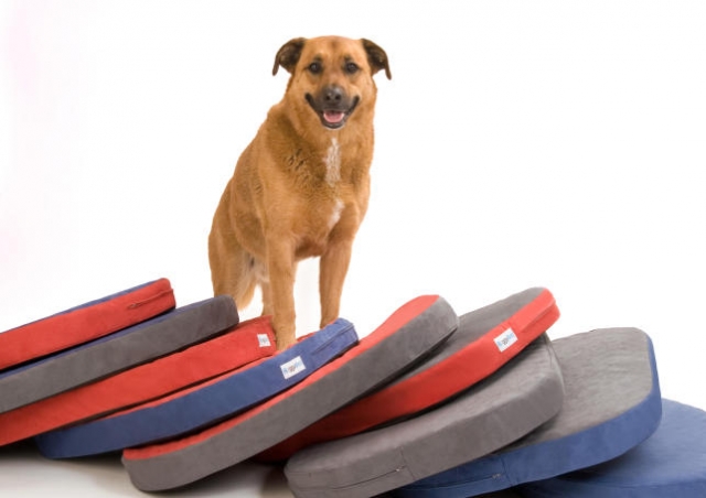 DoggyBed Relax Style