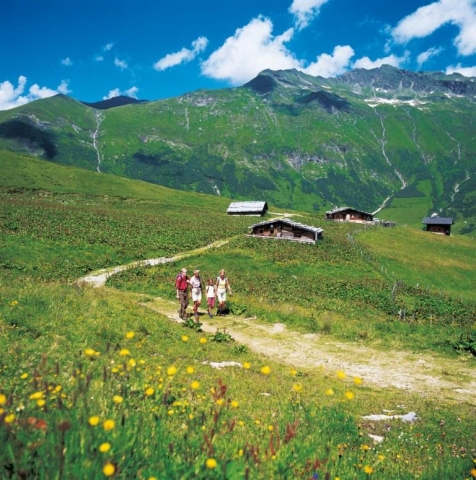 Vom 20. bis 23. September 2012 bekommen Interessierte Tipps für eine gesunde Naturheilküche von Kräu