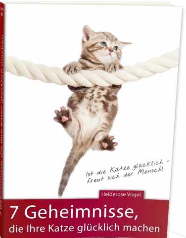 Katze am Seil Katze am Seil