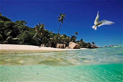 Cousine Island