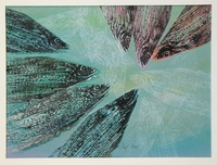 Bild von Liane Voigt aus Born auf der Halbinsel Fischland-Darß-Zingst 2005, ohne Titel Bild von Liane Voigt aus Born auf der Halbinsel Fischland-Darß-Zingst 2005, ohne Titel