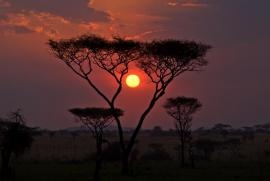 Reisen nach Tansania Reisen nach Tansania