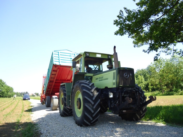 Seit 1972 ist die Legende im Einsatz: Im Bild ein MB trac 1600 turbo Seit 1972 ist die Legende im Einsatz: Im Bild ein MB trac 1600 turbo