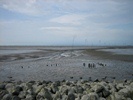 Wattenmeer bei Wremen Wattenmeer bei Wremen