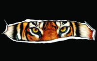 Auf AdTigers Demo-Website kann man alle Formate testen: http://adtiger.de/flexiclip Auf AdTigers Demo-Website kann man alle Formate testen: http://adtiger.de/flexiclip
