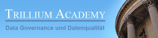 Webinar Data Governance und Datenqualität - Das unschlagbare Team am 20. September 2012 um 15:00 Uhr