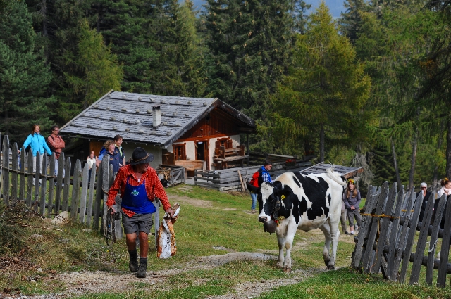 Oswald, der Seniorchef im Naturhotel Rogen in Südtirol führt den Tross an. Oswald, der Seniorchef im Naturhotel Rogen in Südtirol führt den Tross an.