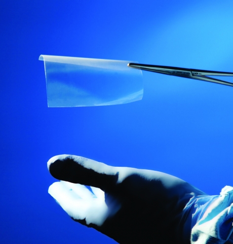 CollaGuard-zur präzisen Aufbringung um anatomische Strukturen herum CollaGuard-zur präzisen Aufbringung um anatomische Strukturen herum