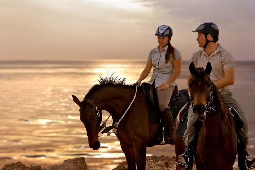 Sir Bani Yas Stables - Royal Bay Ride Sir Bani Yas Stables - Royal Bay Ride