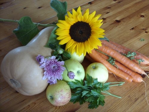 Herbst Herbst