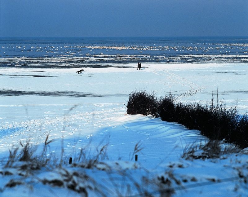Kurzurlaub mit Festtagsprogramm: zum Jahresausklang an die Nordsee © Kamp Hotels Kurzurlaub mit Festtagsprogramm: zum Jahresausklang an die Nordsee © Kamp Hotels
