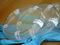 Mycomed Raumluftanalyse-Set