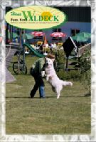 Urlaub mit Hund Spiel und Spaß Urlaub mit Hund Spiel und Spaß