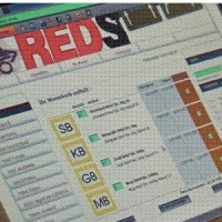 REDS RPDL - Software für Postdienste REDS RPDL - Software für Postdienste