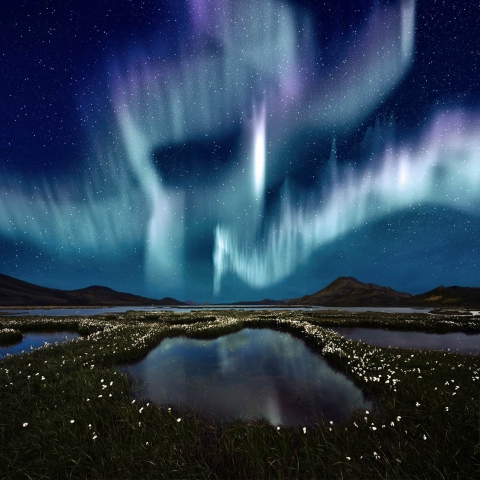 WOW air: Polarlichter WOW air: Polarlichter