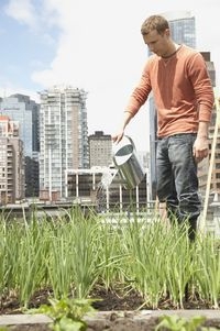 Gartenlust für alle: Immer mehr junge Leute entdecken die Lust am Säen und Ernten, allerdings auf un Gartenlust für alle: Immer mehr junge Leute entdecken die Lust am Säen und Ernten, allerdings auf un