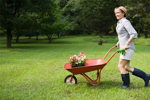 Pflanzen und Pflücken ohne Tücken (Foto: Hermes Arzneimittel/ImageSource) Pflanzen und Pflücken ohne Tücken (Foto: Hermes Arzneimittel/ImageSource)