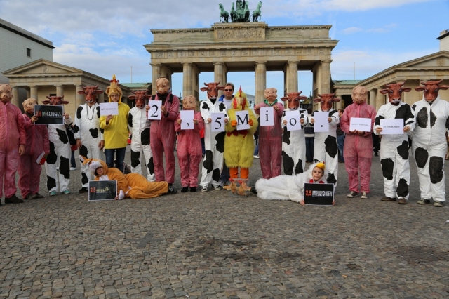 Tierischer Protestüberzeugte: Viele Berliner wollen am Welttierschutztag auf Fleisch verzichten