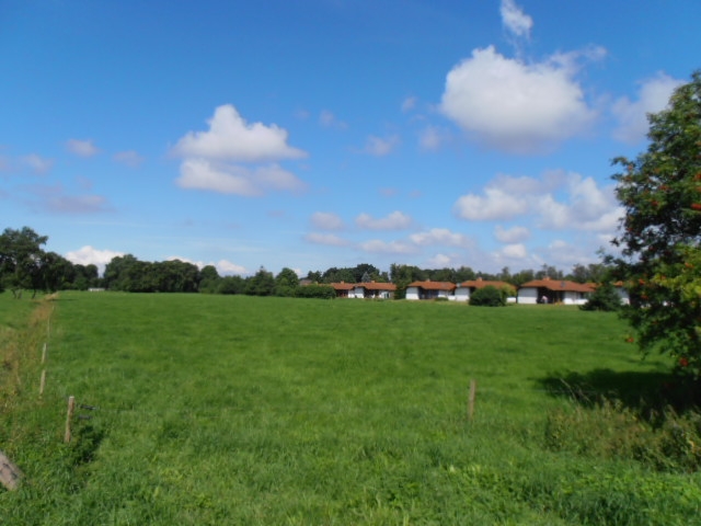 Weites grünes Land am Jadebusen Weites grünes Land am Jadebusen