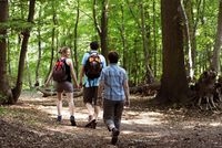 Im Naturpark Schwalm-Nette finden Wanderer noch unberührte Natur entlang wassernaher Premium-Wanderw Im Naturpark Schwalm-Nette finden Wanderer noch unberührte Natur entlang wassernaher Premium-Wanderw