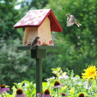 Die schönsten handbemalten Nistkästen und Futterplätze finden Sie auf www.vogeltreff24.de
