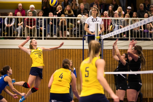 Feierte nach zehn Jahren Abstinenz in der Halle einen erfolgreichen Einstand für DSHS SnowTrex Köln: Feierte nach zehn Jahren Abstinenz in der Halle einen erfolgreichen Einstand für DSHS SnowTrex Köln: