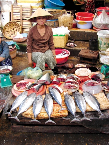 Fisch-Markt im Mekong-Delta Fisch-Markt im Mekong-Delta