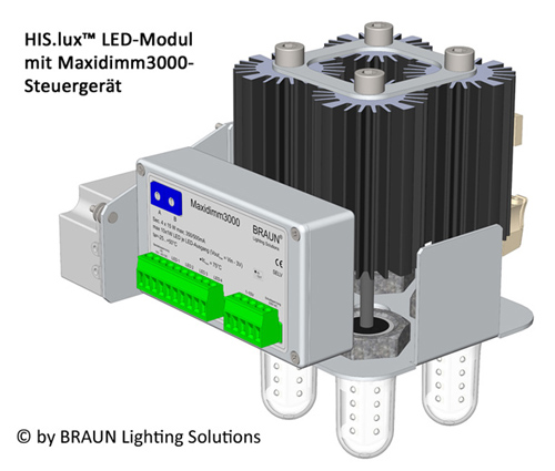 BRAUN HIS.lux LED-Universalmodul für historische Leuchten