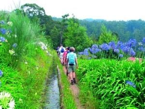 Wanderung im Westen der Insel Wanderung im Westen der Insel