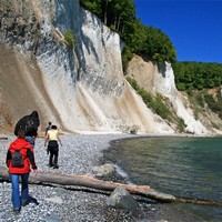 Die Kreideküste von Rügen. Foto: Tourismuszentrale Rügen Die Kreideküste von Rügen. Foto: Tourismuszentrale Rügen