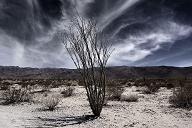 copyright by marcus f. hofschulz photography