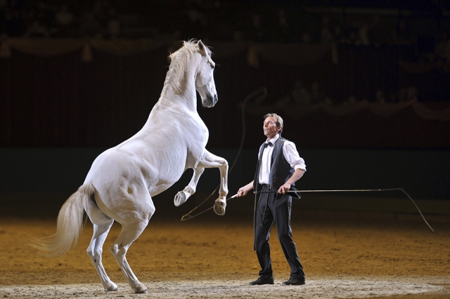 Harmonie zwischen Mensch und Pferd: die Show von Assire Becar Harmonie zwischen Mensch und Pferd: die Show von Assire Becar