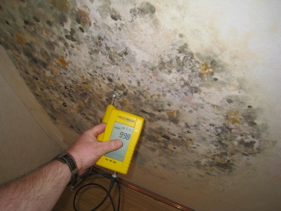 Unbemerkter Schimmel an der Wand hinter einem Kleiderschrank. Die Bewohner hattenüber Schlafstörunge Unbemerkter Schimmel an der Wand hinter einem Kleiderschrank. Die Bewohner hattenüber Schlafstörunge
